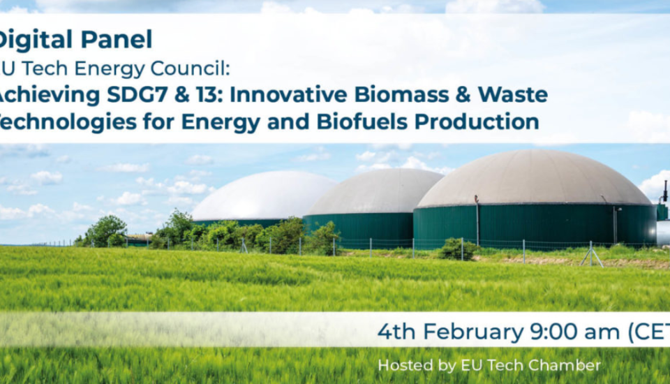 Image of ECREEE PARTICIPATES IN THE EU TECH CHAMBER ENERGY COUNCIL PANEL ON BIOENERGY