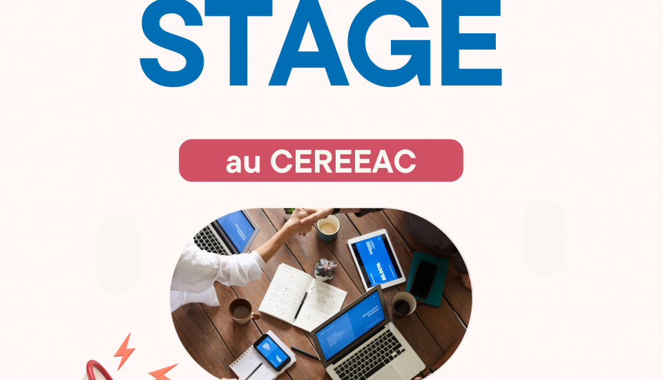 Image of Opportunités de stage au CEREEAC - 2 postes