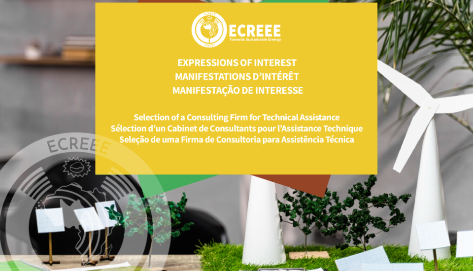 Image of ECREEE Participates in the 16th IRENA Assembly