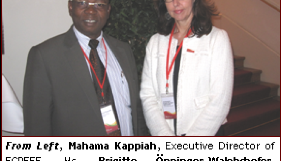 Image of Vienna Week: ECREEE meets key partners in the renewable energy sector