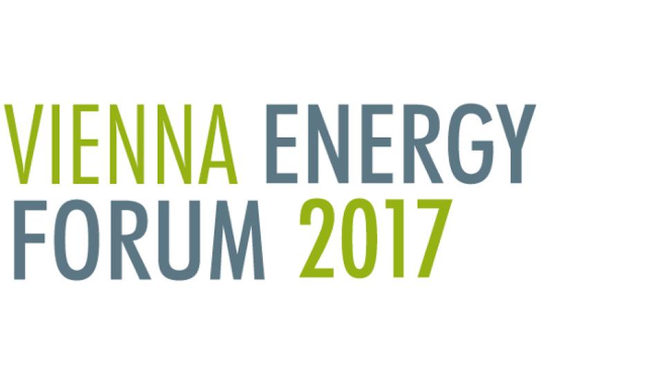 Image of SACREEE is presenting its activities at the Vienna Energy Forum 2017