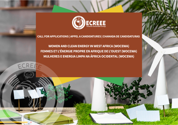 Image of ECREEE Participates in the 16th IRENA Assembly
