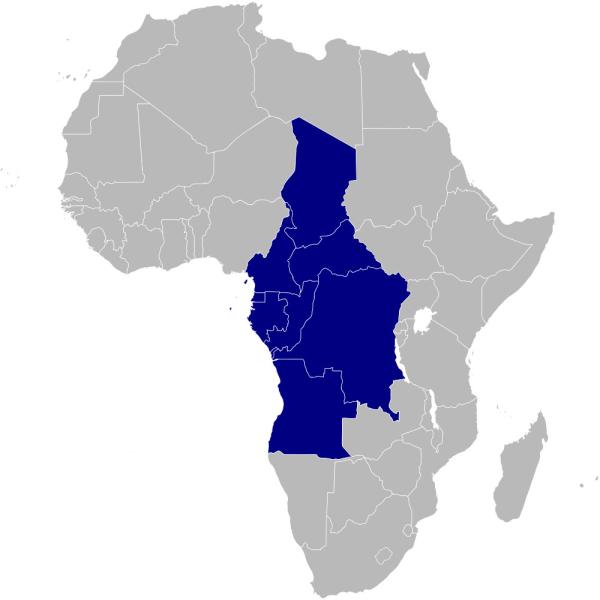 Image of Introducing CEREEAC: the Centre for Renewable Energy and Energy Efficiency for Central Africa