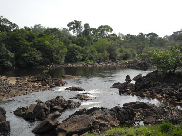 Image of African Experts Receive Training on Small Scale Hydro Power