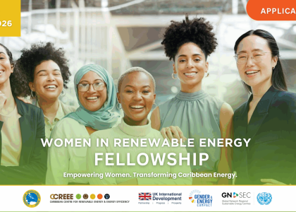 Image of Woman In Renewable Energy Fellowship 2026