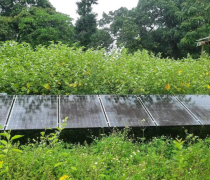 Image of Tonga DoE Solar Water Pump monitoring & meter reading site visits during the PCREEE – DoE joint mission to Vava'u.