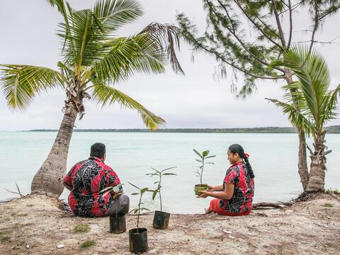 Image of Webinar: Ocean Energy Technologies for Blue Economies in Small Islands and Low-lying Developing States (SIDS)