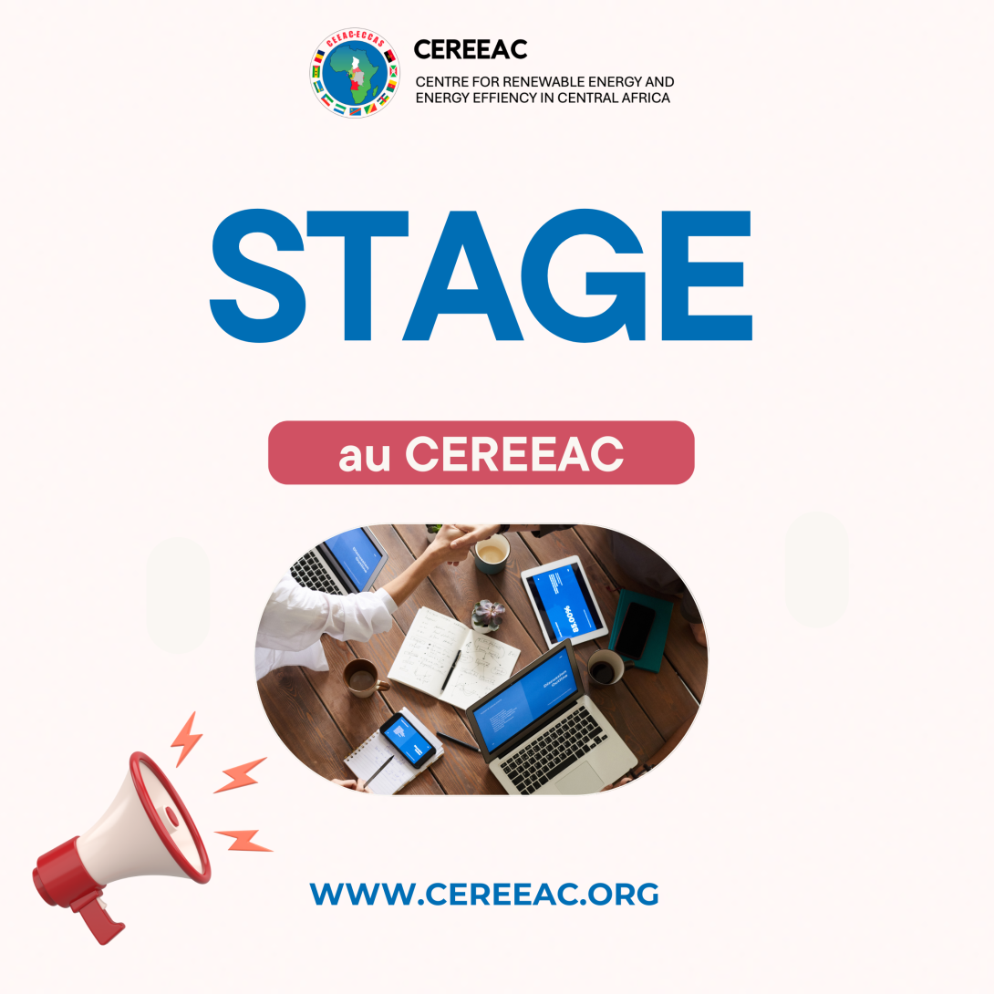 Image of Opportunités de stage au CEREEAC - 2 postes
