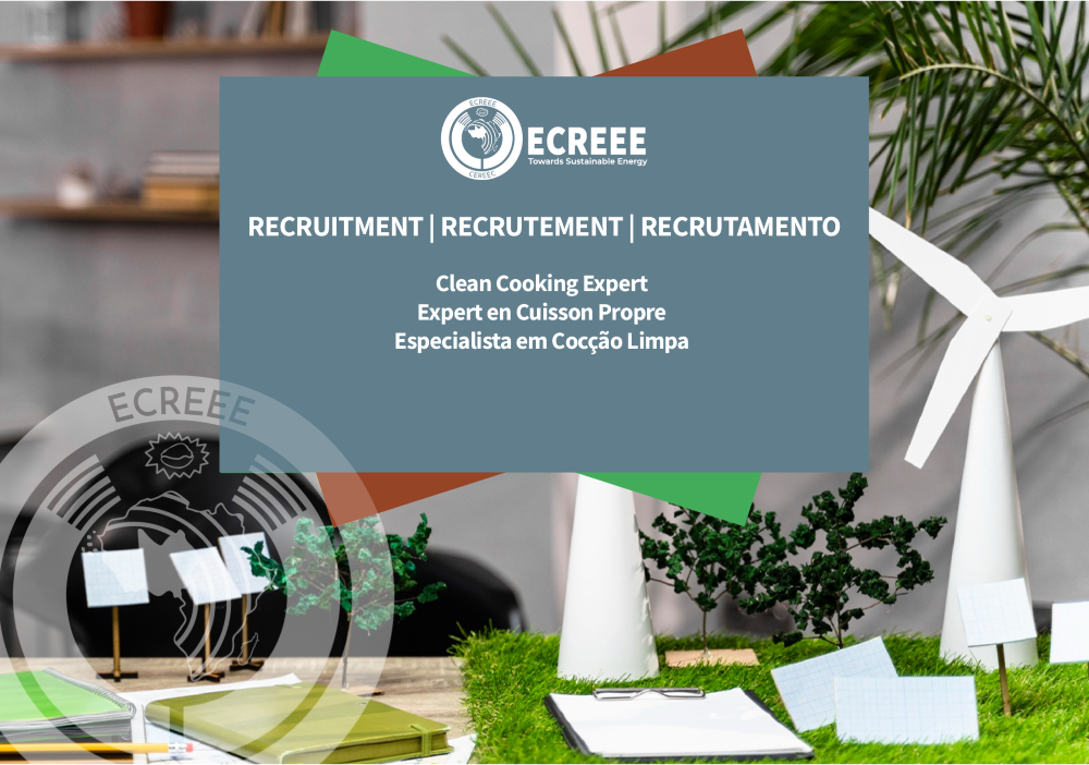 Image of ECREEE participates in ROGEAP regional workshop for West African journalists