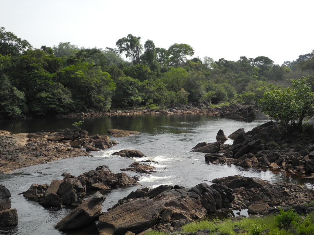 Image of African Experts Receive Training on Small Scale Hydro Power 