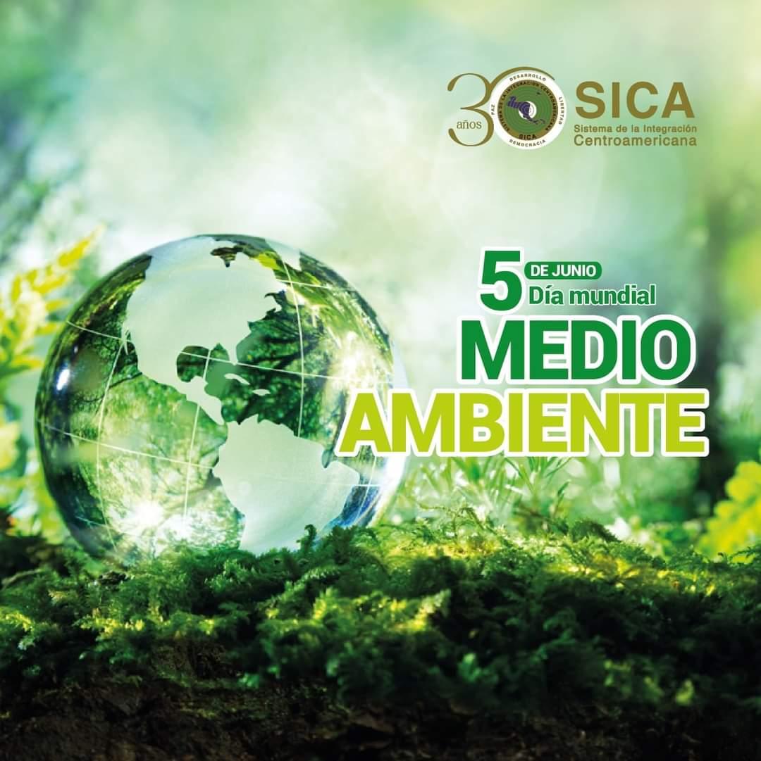 Image of 5 junio Dia Mundial del Medio Ambiente