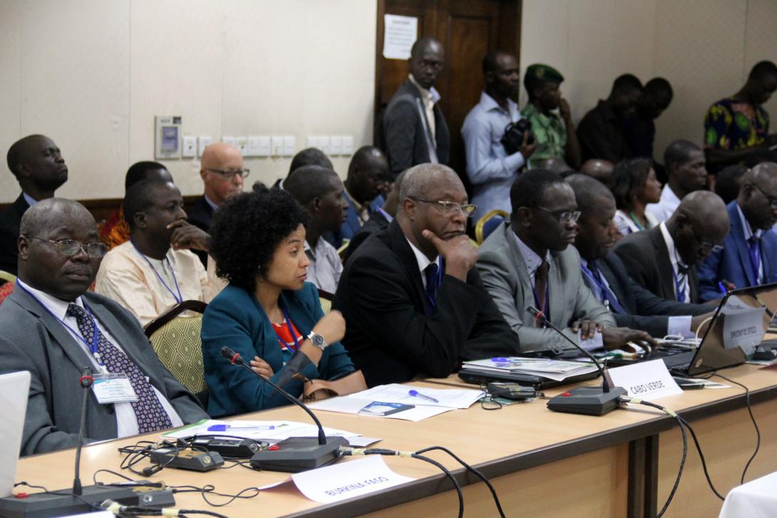 Image of ECOWAS WORKSHOP ON SUSTAINABLE WOOD ENERGY MANAGEMENT OPENS IN COTONOU